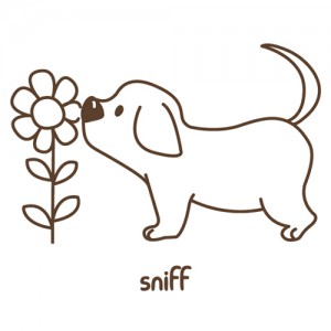 [SO] [동물]퍼피_스니프