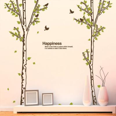 [MK] nature_002 숲속의 자작나무 1