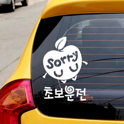 [JD] 사과 sorry 초보운전