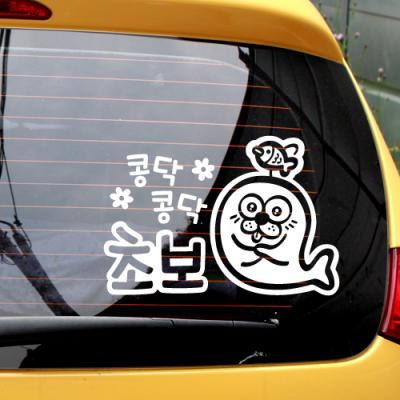 [JD] 콩닥콩닥 초보에요