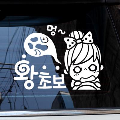 [JD] 멍... 왕초보