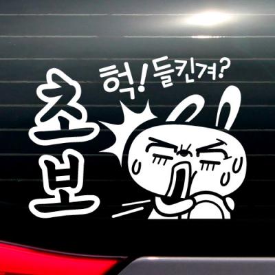 [JD] 헉! 들킨겨 초보