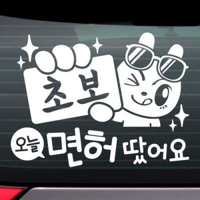 [JD]초보_오늘 면허 땄어요_제이래빗