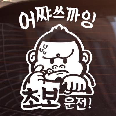 [JD] 초보운전_어쨔쓰까잉