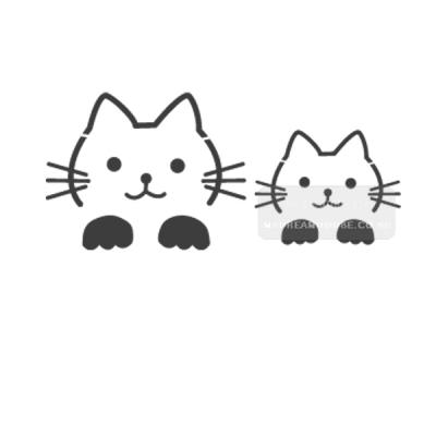 ns-1112 고양이