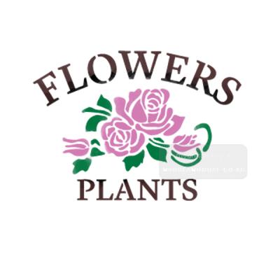 [스텐실도안]AJ-3273FLOWER