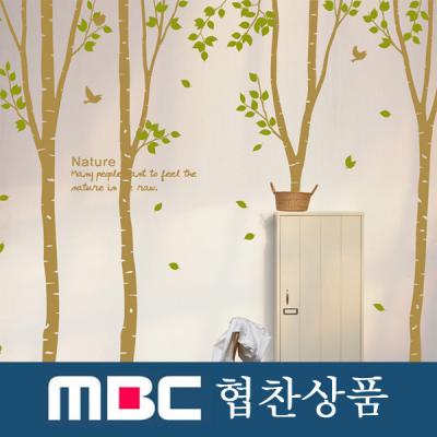[MK] 행복한 자작나무